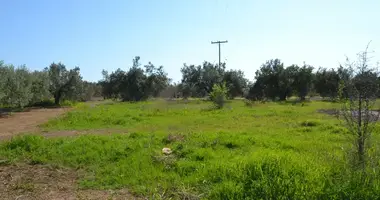 Plot of land in Sozopoli, Greece