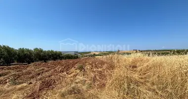 Участок земли в Дионисиоу ( Диониси ), Греция