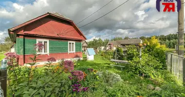 House in Miasata, Belarus