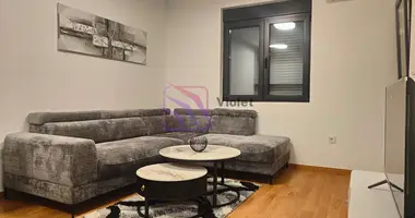 2 bedroom apartment in Podgorica, Montenegro