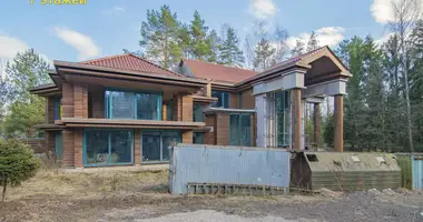 Cottage in Zdanovicki sielski Saviet, Belarus