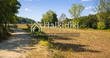 Plot of land in Kassandra Municipality, Greece