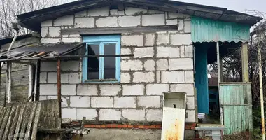 Plot of land in Dukorski sielski Saviet, Belarus