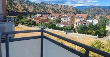 Apartment in Podgorica, Montenegro