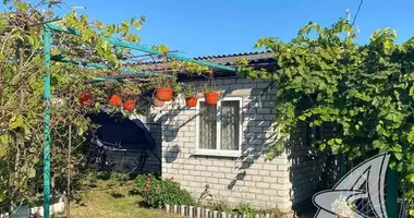 Dom w Cerninski sielski Saviet, Białoruś