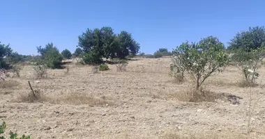 Plot of land in Anogyra, Cyprus
