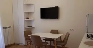1 Bedroom Apartmet for Rent in Tbilisi en Tiflis, Georgia