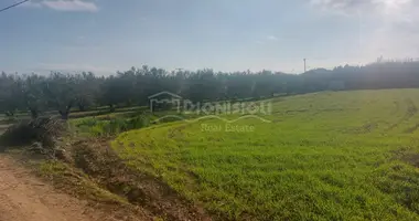 Plot of land in Municipality of Nea Propontida, Greece