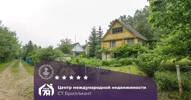 Haus in Krasnienski sielski Saviet, Belarus