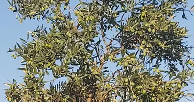 Parcela en Kiratli Mahallesi, Turquía