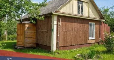 Дом в Сновский сельский Совет, Беларусь
