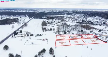 Grundstück in Ragoziai, Litauen