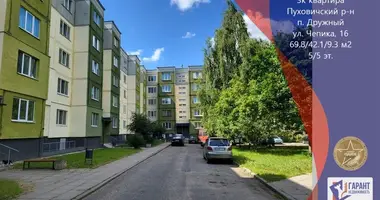 Wohnung 3 zimmer in Druschny, Belarus