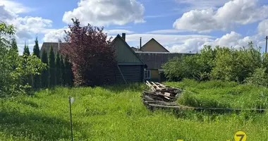 House in Pleshchanitsy, Belarus