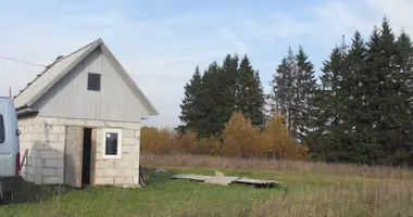 Działka w Bolsevrudskoe selskoe poselenie, Rosja