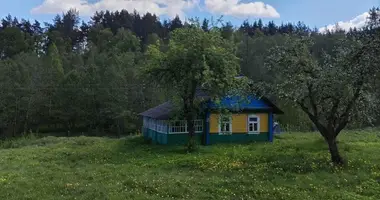 Дом в Вязынка, Беларусь