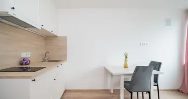 Wohnung 1 zimmer in Vilnius, Litauen