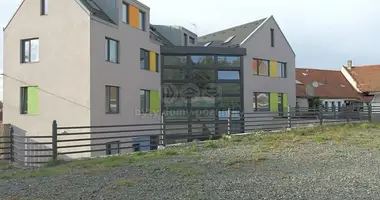 Apartamento 3 habitaciones en Melnik, Chequia