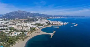 2 bedroom apartment in Marbella, Spain