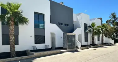 2 bedroom apartment in Guardamar del Segura, Spain