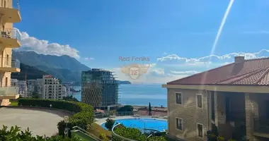 Apartamento 1 habitación en Montenegro