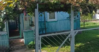 Haus in Krapivienski sielski Saviet, Belarus