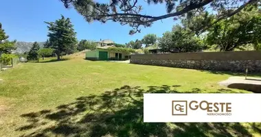 Maison dans Opcina Dezanovac, Croatie