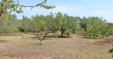 Plot of land in Makrygialos, Greece