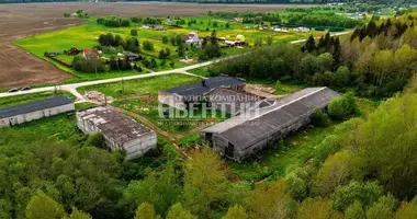Commercial property 3 926 m² in Klopickoe selskoe poselenie, Russia