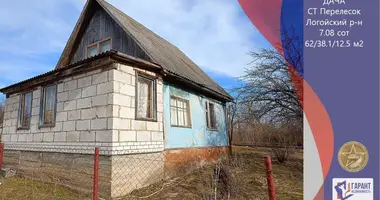 Haus in Bialarucki sielski Saviet, Belarus