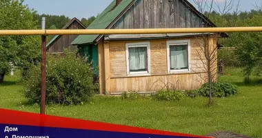 House in Rakauski sielski Saviet, Belarus