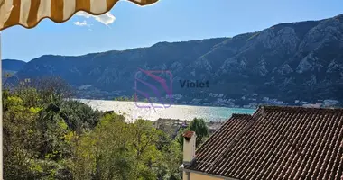 Mieszkanie 1 pokój w Dobrota, Czarnogóra