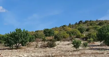 Участок земли в Кили, Кипр