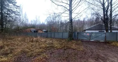 Produktion 643 m² in Stankava, Belarus