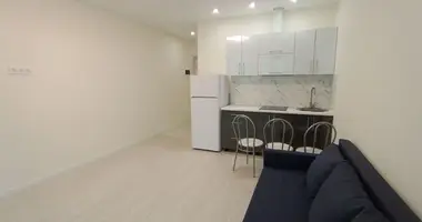 1 room apartment in Minsk, Belarus