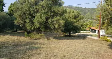 Plot of land in Kassandra Municipality, Greece