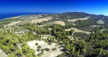 Plot of land in Kassandra Municipality, Greece