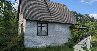 Dom w Znamienski sielski Saviet, Białoruś