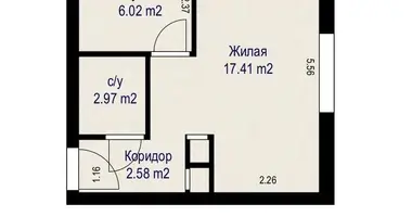 1 room apartment in Minsk, Belarus
