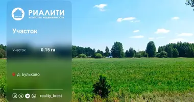 Działka w Telminski sielski Saviet, Białoruś