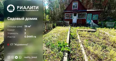 House in Telminski sielski Saviet, Belarus