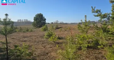 Działka w Drozdówka, Litwa