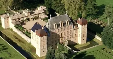 Castillo 30 habitaciones en Nizerolles, Francia