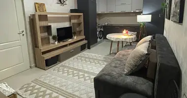 Wohnung 1 Schlafzimmer in Montenegro