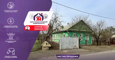 House in Starobin, Belarus