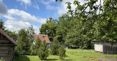 Maison dans Hajnienski sielski Saviet, Bélarus