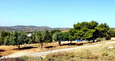 Parcela en Municipality of Kropia, Grecia