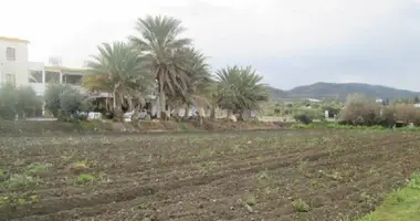 Grundstück in Paphos, Zypern