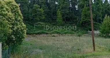 Участок земли в Фоурка, Греция