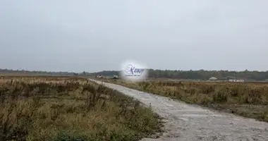 Участок земли в Матросово, Россия